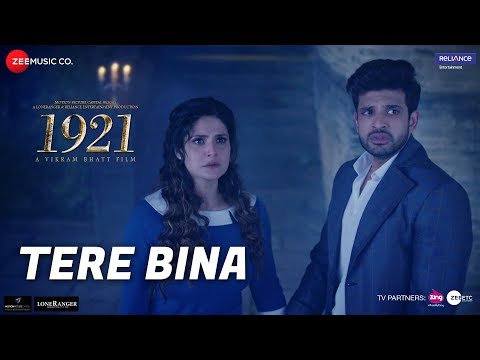 Tere Bina Song Lyrics image