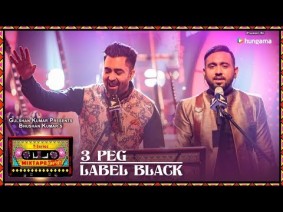 3 Peg / Label Black Song Lyrics