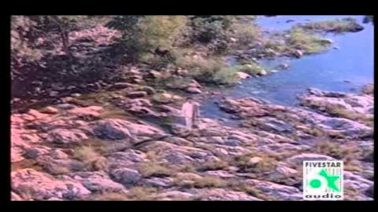 Aalolam Paadum Song Lyrics