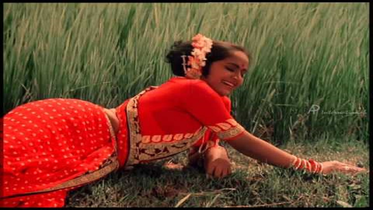 Aappa Kada Annakili Song Lyrics image