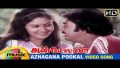 Azhagaana Pookal Song Lyrics