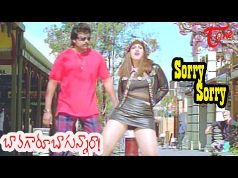 Sorry Sorry Song Lyrics image