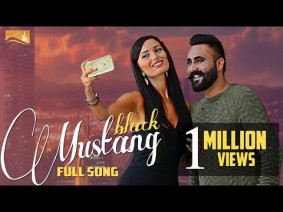 Black Mustang Song Lyrics