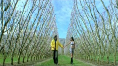 Brahma Oh Brahma Song Lyrics