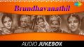 Brindhavanathil Kannan Song Lyrics