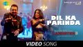 Dil Ka Parinda Song Lyrics