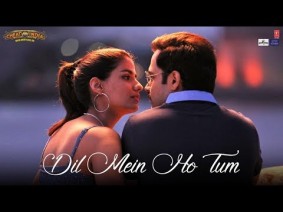 Dil Mein Ho Tum Song Lyrics