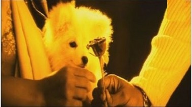 Evarina Epudina (Female) Song Lyrics