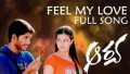 Feel My Love Song Lyrics
