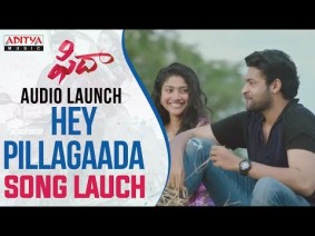 Hey Pillagaada Song Lyrics