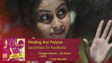 Finding Aai Paiyan Song Lyrics