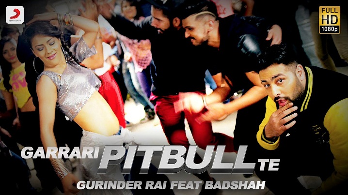 Garrari Pitbull Te Song Lyrics image