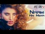 Naam Hai Mera Song Lyrics