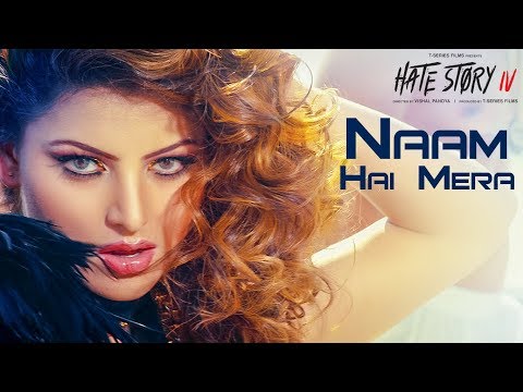 Naam Hai Mera Song Lyrics image