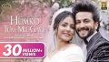 Humko Tum Mil Gaye Song Lyrics