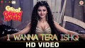 I Wanna Tera Ishq Song Lyrics