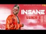 Insane Song Lyrics
