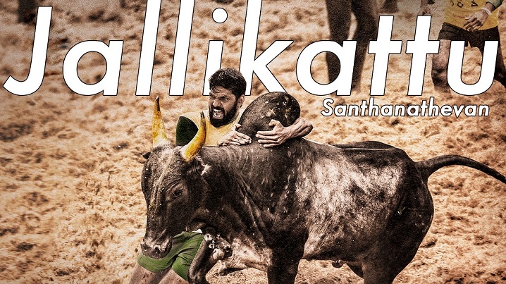 Jallikattu Song Lyrics image