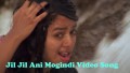 Jil Jil Jil Jillani Voogindi( Female S Song Lyrics