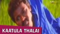 Kattula Thalai Song Lyrics