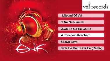 Nene Nani Ne Song Lyrics