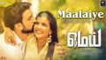 Maalaiye Song Lyrics