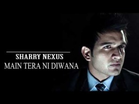 Main Tera Ni Diwana Song Lyrics