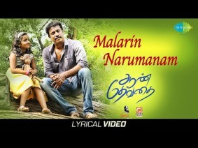 Malarin Narumanam Song Lyrics