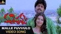 Malle Puvvulo Song Lyrics