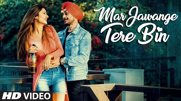 Mar Jawange Tere Bin Song Lyrics image