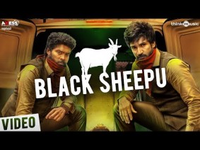Black Sheepu Song Lyrics