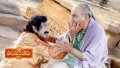 Matrudevobhava Song Lyrics