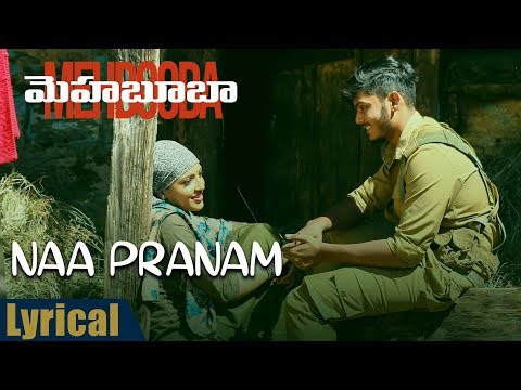 Naa Pranam Song Lyrics image