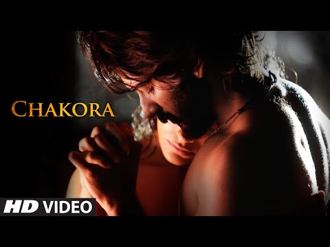 Chakora Song Lyrics image