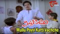 Mullu Poyyi Katti Vachche Song Lyrics