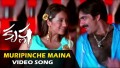 Muripinche Maina Song Lyrics