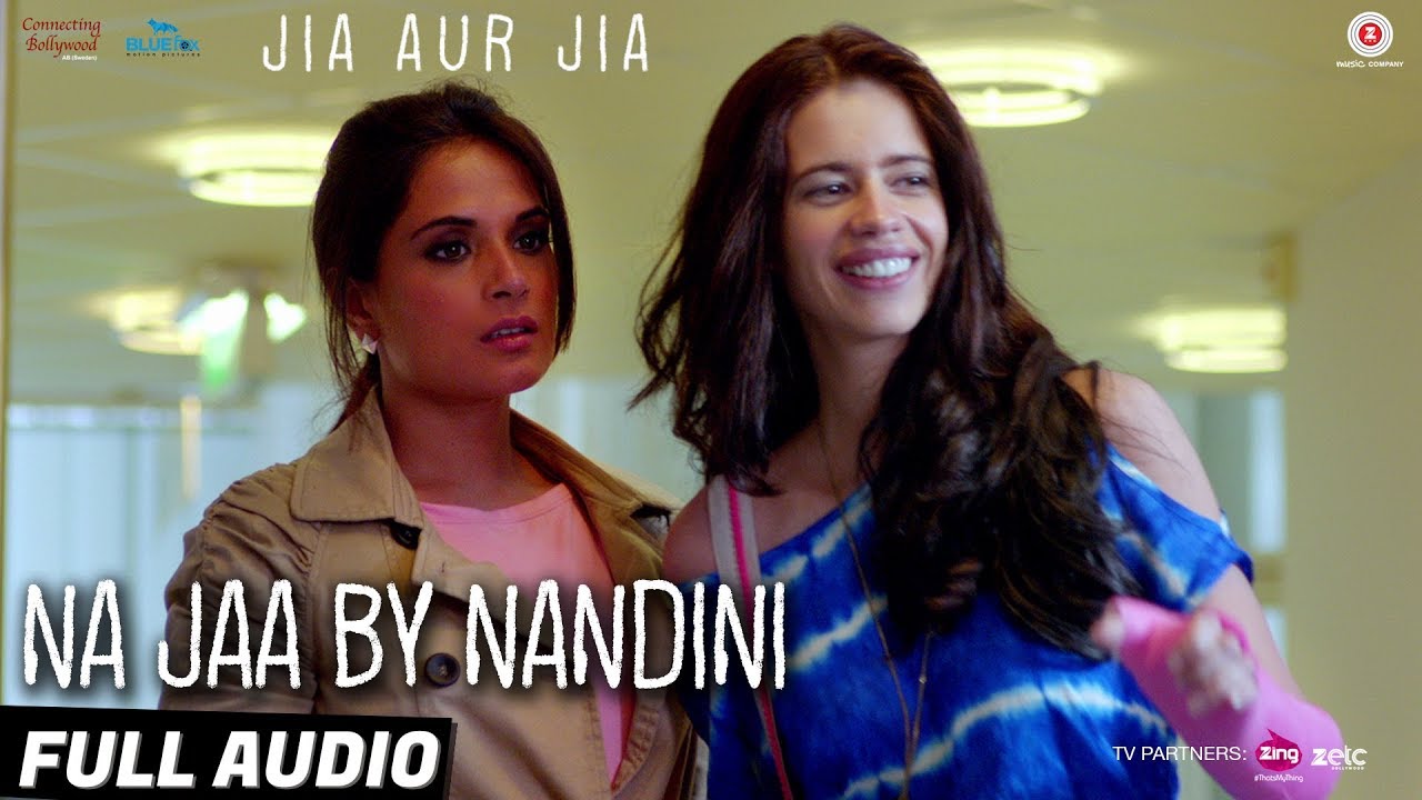 Na Jaa Song Lyrics image