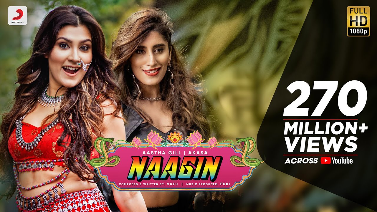 Naagin Song Lyrics image