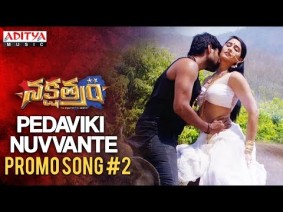 Pedaviki Nuvvante Song Lyrics