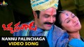Nannu Paalinchaga Song Lyrics