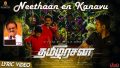 Neethan En Kanavu Song Lyrics