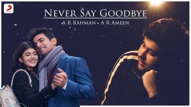 Never Say Goodbye Song Lyrics