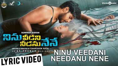 Ninu Veedani Needanu Nene Song Lyrics