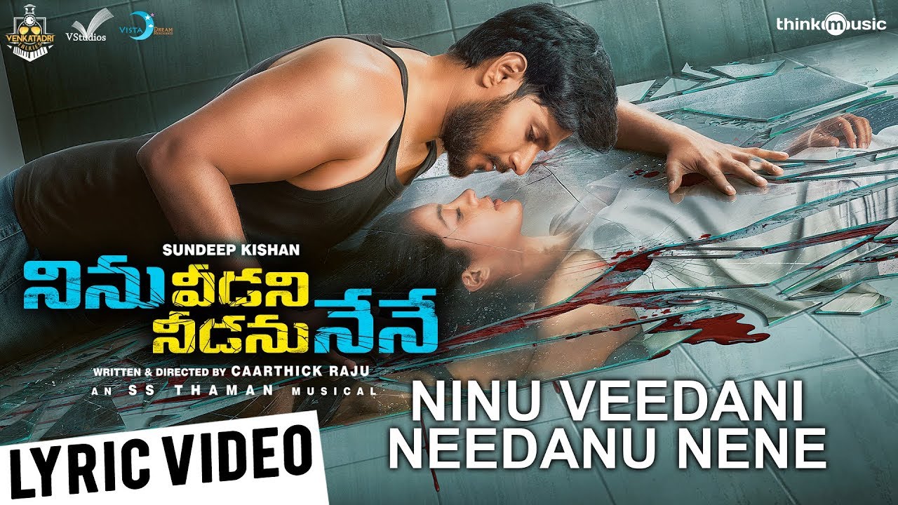 Ninu Veedani Needanu Nene Song Lyrics image