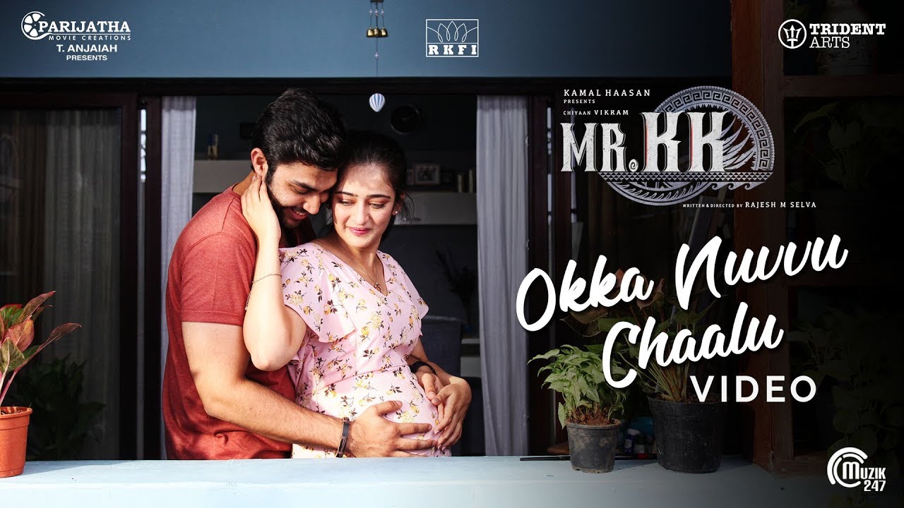 Okka Nuvvu Chaalu Song Lyrics image