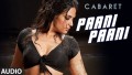 Paani Paani Song Lyrics