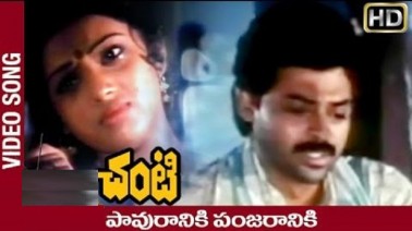 Paavuraaniki Panjaraaniki Song Lyrics