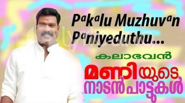 Pakalu Muzhuvan Paniyeduthu Song Lyrics