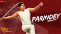 Parindey Song Lyrics