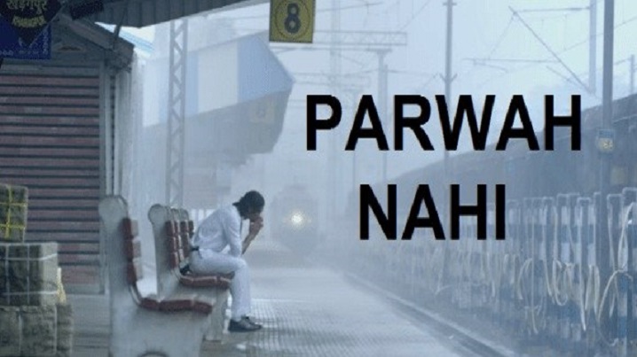 Parwah Nahi Song Lyrics image